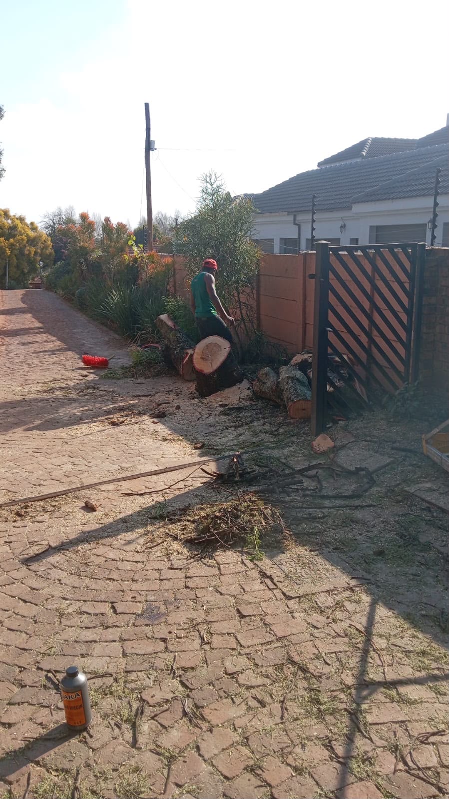 Tree Felling